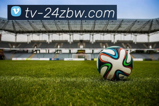 24直播网平台生态图